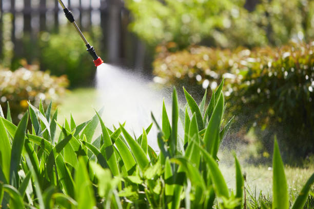 24/7 Emergency Fumigation Services experts in Kiefer, OK