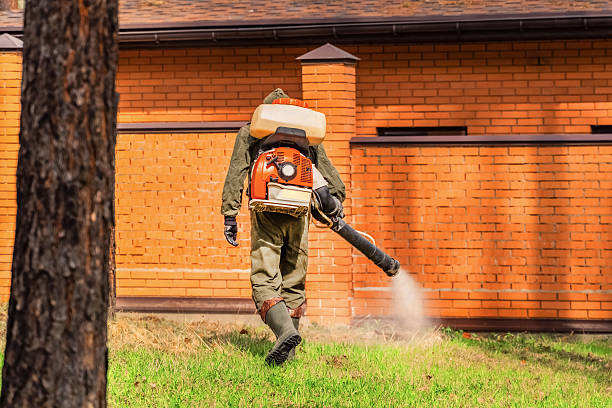 Trusted Ant Control service in Kiefer, OK - Nex Pest Control